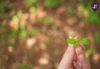 Sustentabilidad Un Mandato Biblico